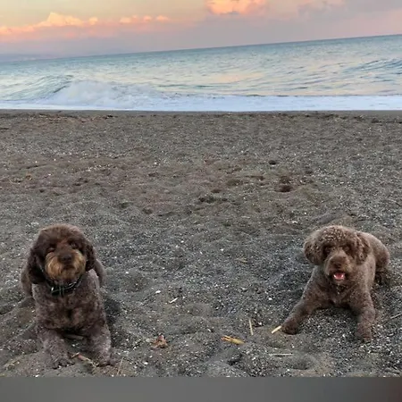 Mia-1 Torremolinos